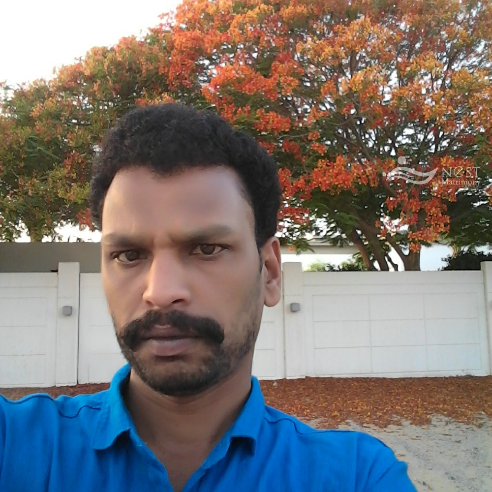 Rajesh N R